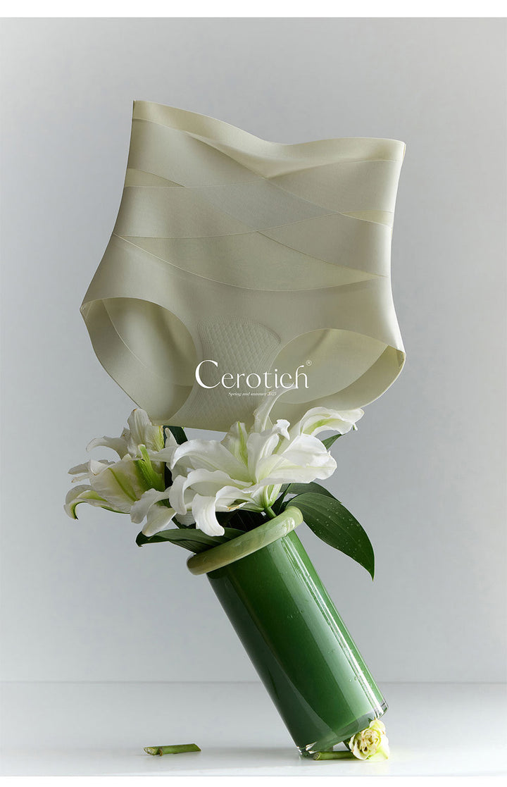 Vaagoon CoreLift Seamless Control Briefs