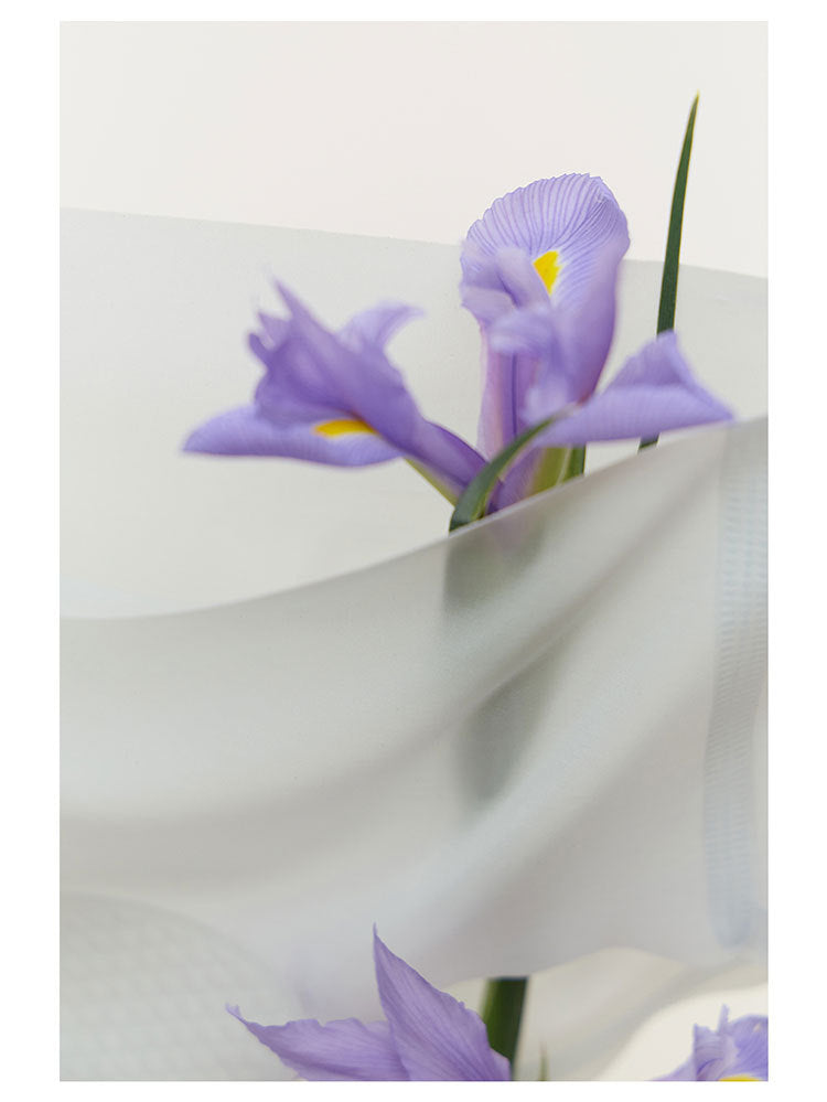 Vaagoon CloudSoufflé High-Waist Seamless Briefs